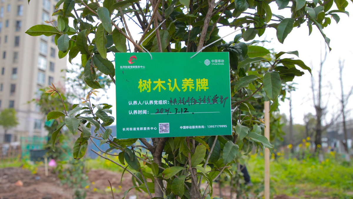 ���h�����I���ľ��� ֲ�乲�������L�ӡ��L���h֧��ֲ�九���