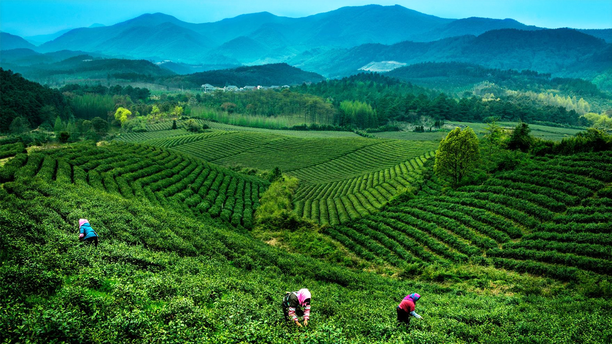 ��������(du��)ؚ�� ������ͬ��ԣ