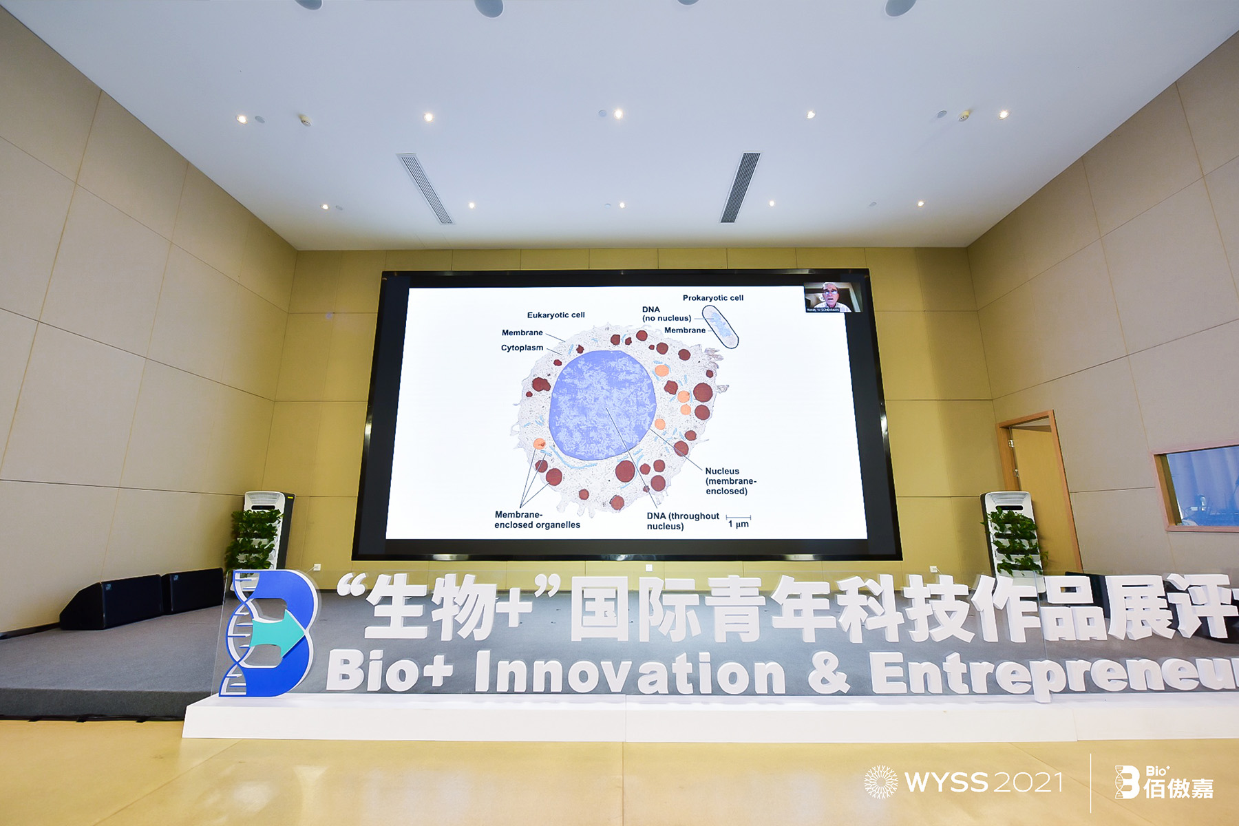 �Zؐ������W(xu��)���t(y��)�W(xu��)��(ji��ng)�����m��-�x�����������v