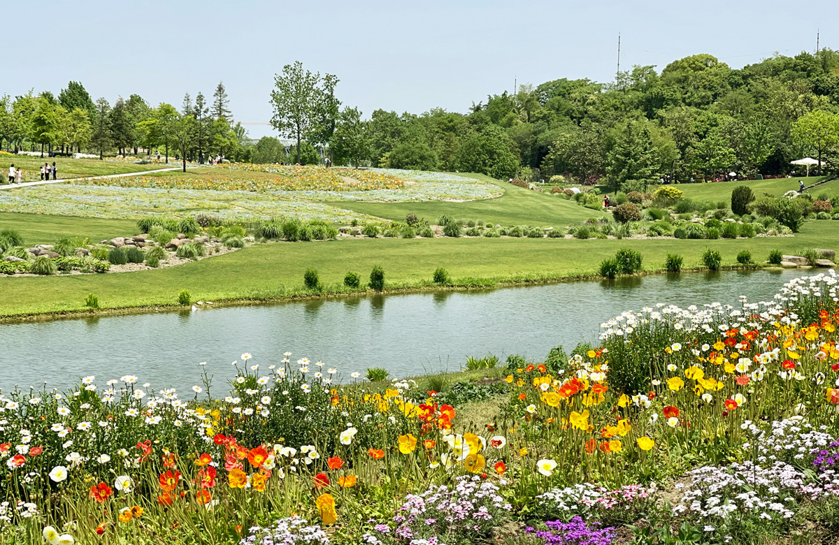 �p�����}����һ�Έ@��