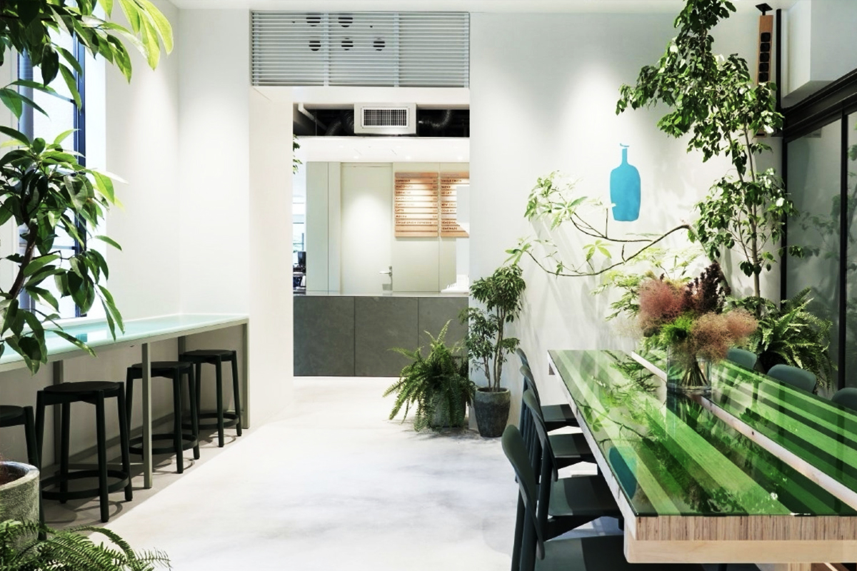 綠植裝扮新辦公環境