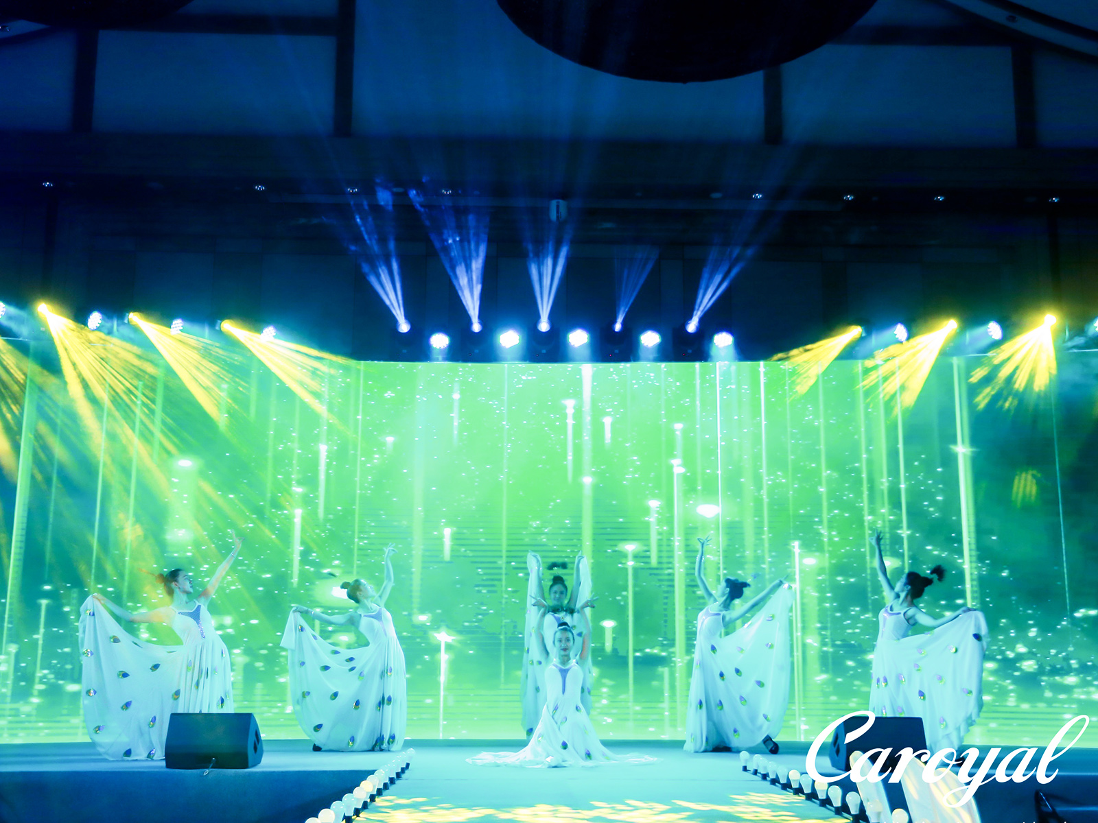 ����c����˚��赸����