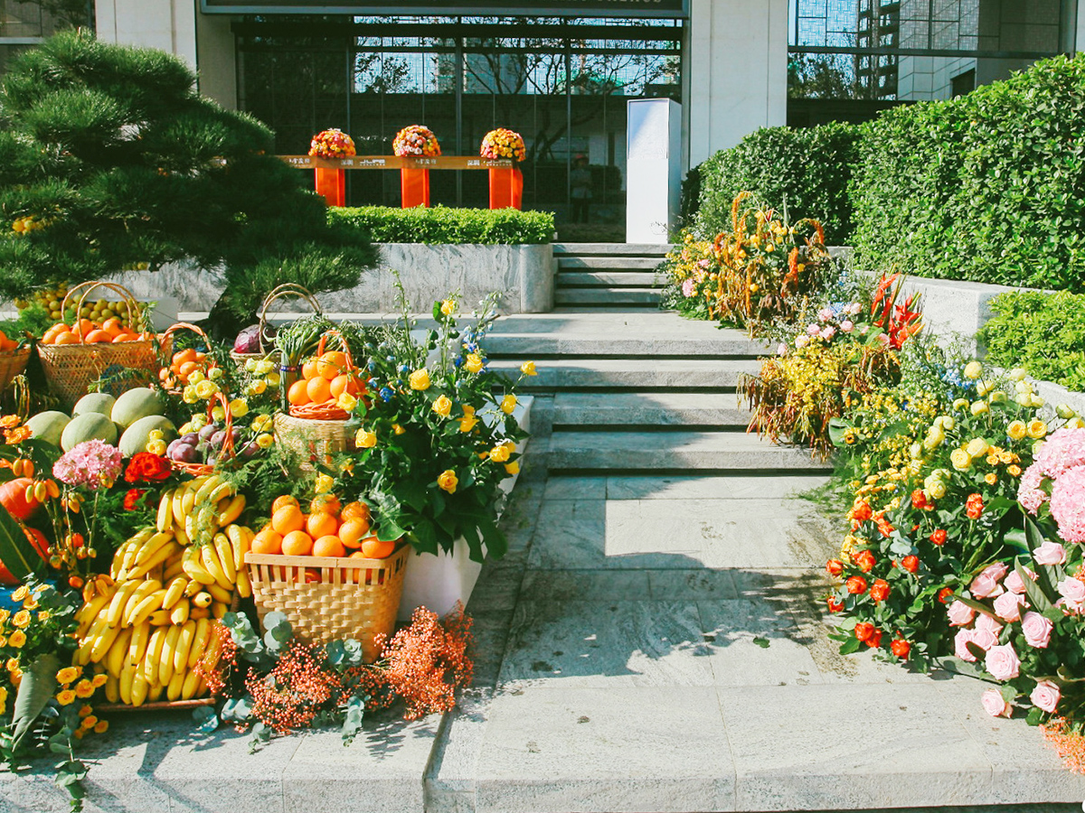 ���؆��Ãxʽ�F������