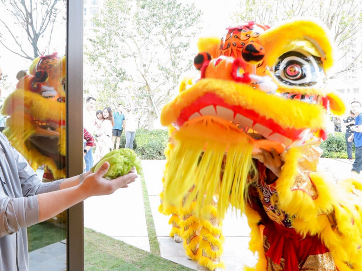 �_�I�c����{