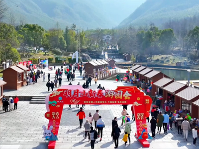 �����Έ@����Α��Ŀ