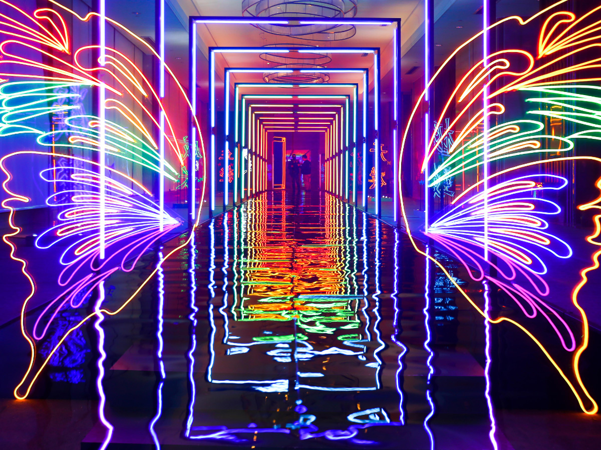 �������r�������OӋ