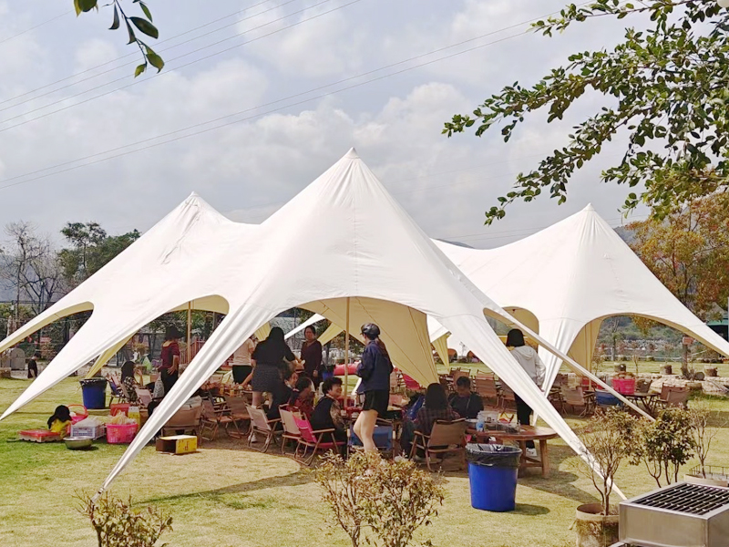 ��˾������չ